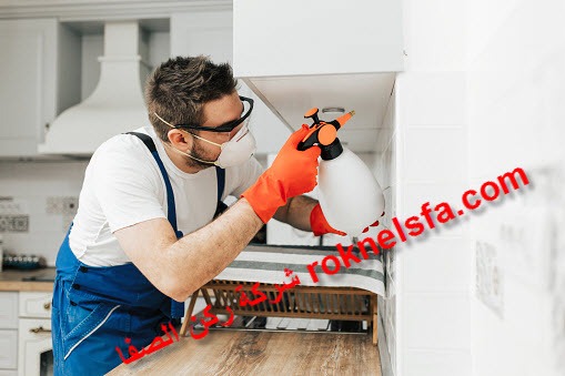 افضل شركة مكافحة حشرات بصبيا