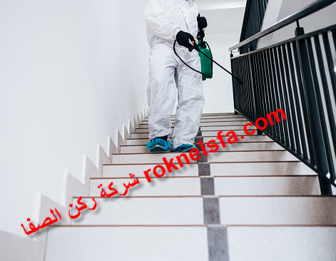 افضل شركة مكافحة حشرات بيش خصم 50% – 0550649665